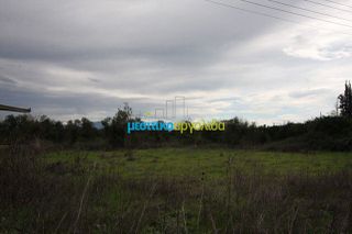 Μονοκατοικία 100 τ.μ. για πώληση, Αργολίδα, Άργος-thumb-4