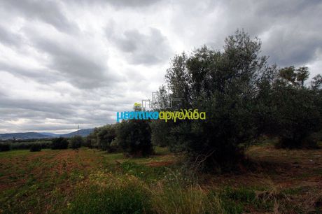 Parcel 7.300sqm for sale-Koutsopodi