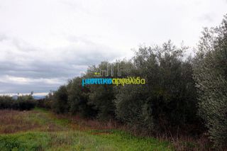 Αγροτεμάχια 7.300 τ.μ. για πώληση, Αργολίδα, Κουτσοπόδι-thumb-19