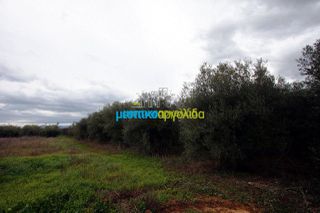 Αγροτεμάχια 7.300 τ.μ. για πώληση, Αργολίδα, Κουτσοπόδι-thumb-18