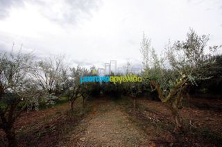 Αγροτεμάχια 7.300 τ.μ. για πώληση, Αργολίδα, Κουτσοπόδι-thumb-20