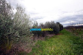 Αγροτεμάχια 7.300 τ.μ. για πώληση, Αργολίδα, Κουτσοπόδι-thumb-8