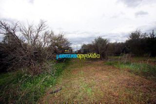 Αγροτεμάχια 7.300 τ.μ. για πώληση, Αργολίδα, Κουτσοπόδι-thumb-3