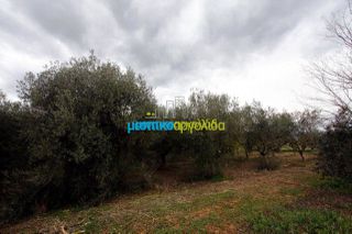 Αγροτεμάχια 7.300 τ.μ. για πώληση, Αργολίδα, Κουτσοπόδι-thumb-16