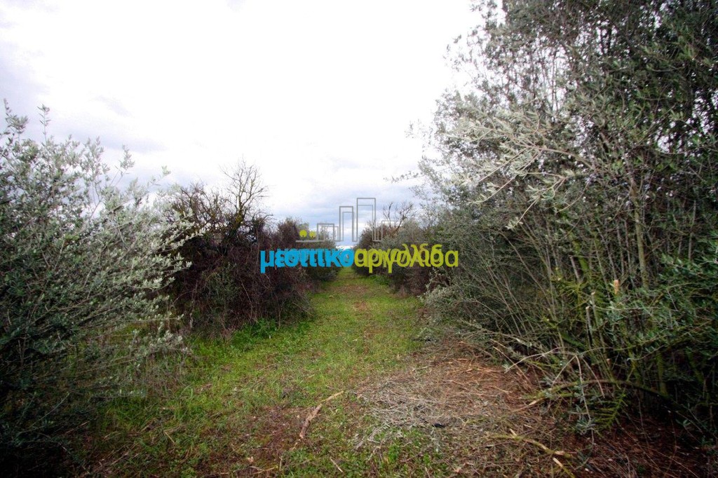 Αγροτεμάχια 7.300 τ.μ. προς πώληση, Κέντρο Κουτσοποδίου