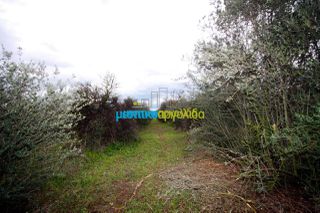 Αγροτεμάχια 7.300 τ.μ. για πώληση, Αργολίδα, Κουτσοπόδι-thumb-4