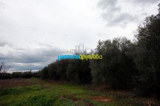 Αγροτεμάχια 7.300 τ.μ. για πώληση, Αργολίδα, Κουτσοπόδι-thumb-13