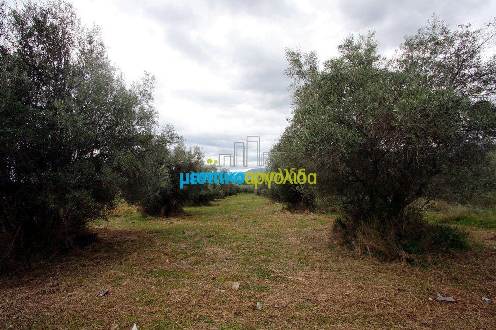 Αγροτεμάχια 7.300 τ.μ. προς πώληση, Κέντρο Κουτσοποδίου