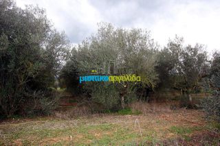 Αγροτεμάχια 7.300 τ.μ. για πώληση, Αργολίδα, Κουτσοπόδι-thumb-15