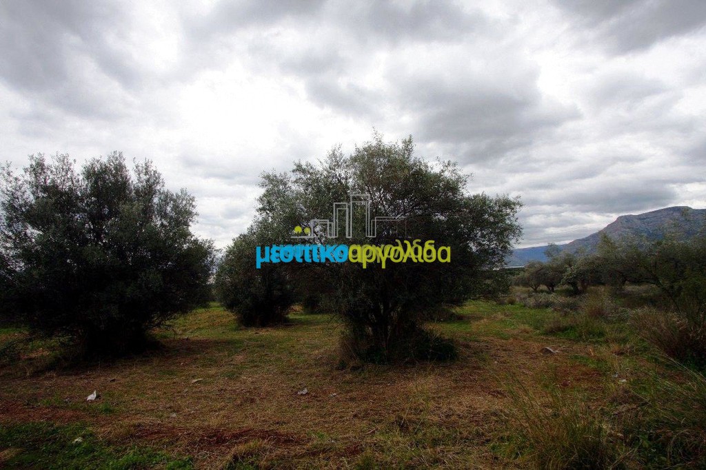 Αγροτεμάχια 7.300 τ.μ. προς πώληση, Κέντρο Κουτσοποδίου