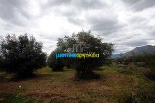 Αγροτεμάχια 7.300 τ.μ. για πώληση, Αργολίδα, Κουτσοπόδι-thumb-1