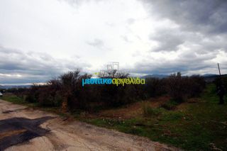 Αγροτεμάχια 7.300 τ.μ. για πώληση, Αργολίδα, Κουτσοπόδι-thumb-24