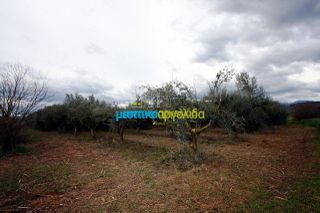 Αγροτεμάχια 7.300 τ.μ. για πώληση, Αργολίδα, Κουτσοπόδι-thumb-22