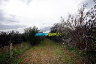 Αγροτεμάχια 7.300 τ.μ. για πώληση, Αργολίδα, Κουτσοπόδι-thumb-23
