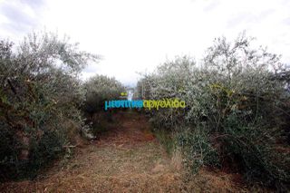 Αγροτεμάχια 7.300 τ.μ. για πώληση, Αργολίδα, Κουτσοπόδι-thumb-11