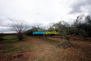 Αγροτεμάχια 7.300 τ.μ. για πώληση, Αργολίδα, Κουτσοπόδι-thumb-21