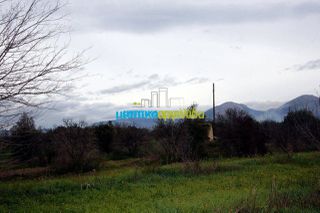 Αγροτεμάχια 7.300 τ.μ. για πώληση, Αργολίδα, Κουτσοπόδι-thumb-14