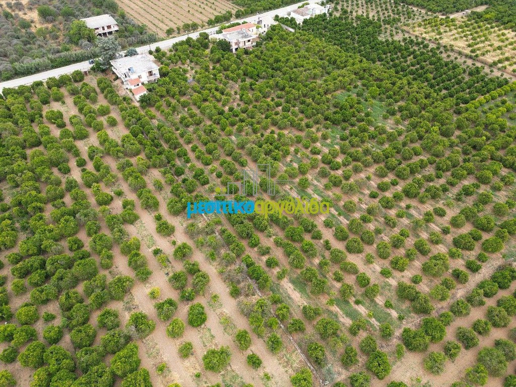 Μονοκατοικία 328 τ.μ. προς πώληση, Αργολίδα, Άργος