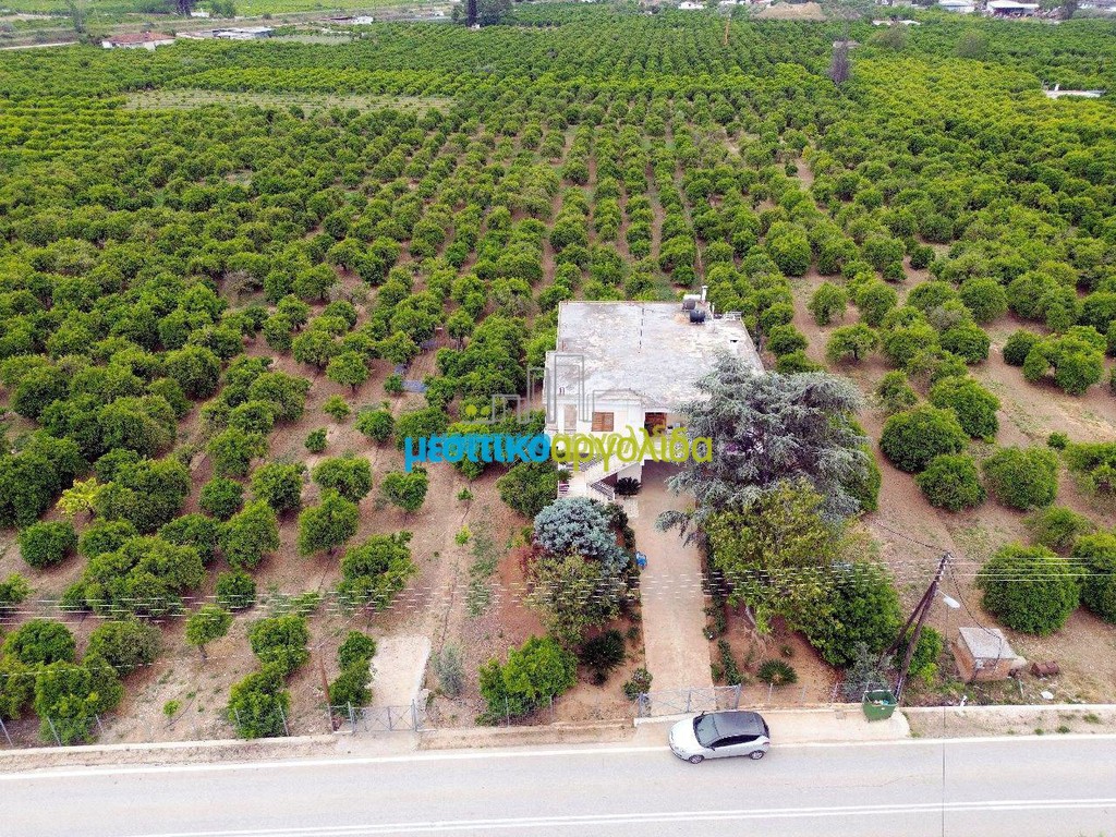 Μονοκατοικία 328 τ.μ. προς πώληση, Αργολίδα, Άργος