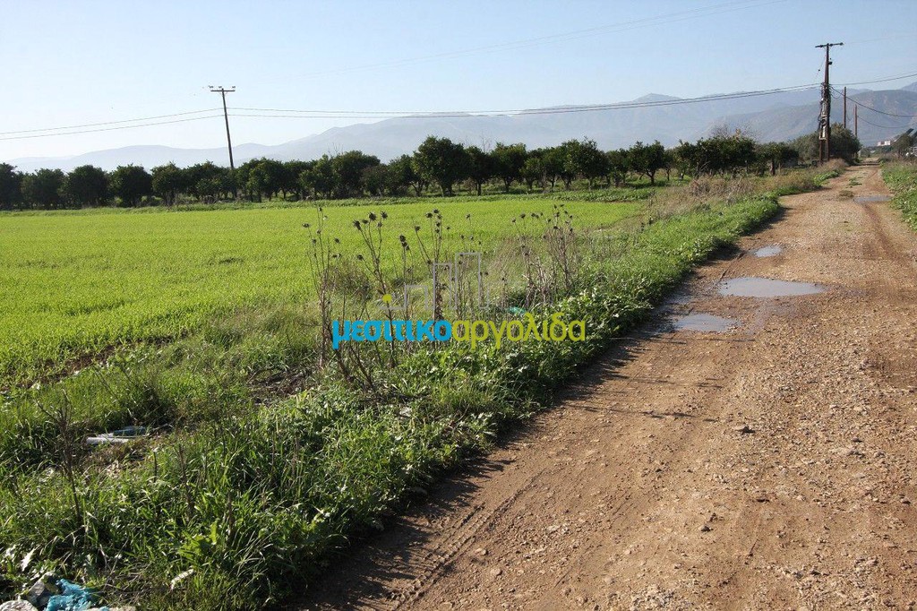 Αγροτεμάχια 7.419 τ.μ. προς πώληση, Κέντρο Νέας Κίου