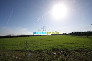 Αγροτεμάχια 7.419 τ.μ. για πώληση, Αργολίδα, Νέα Κίος-thumb-9