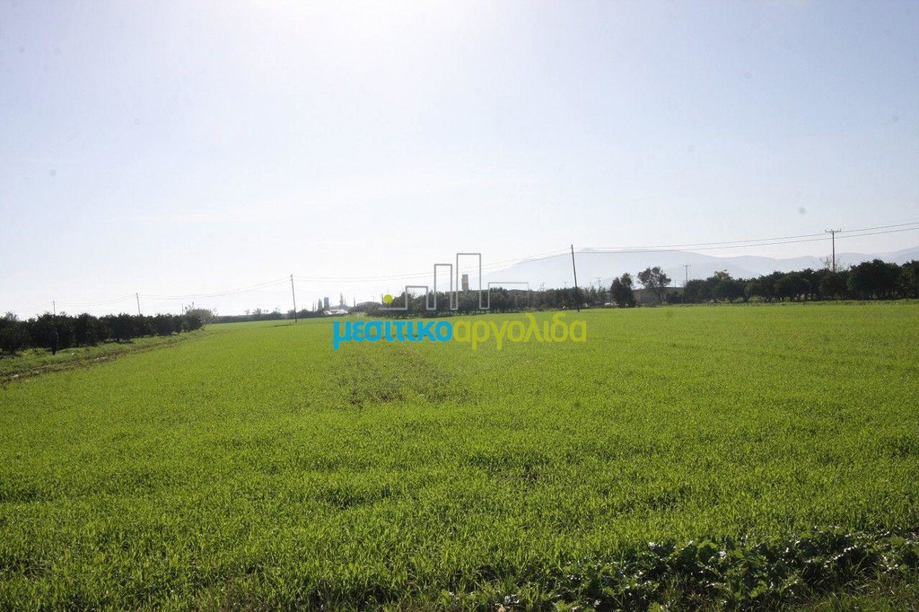 Αγροτεμάχια 7.419 τ.μ. προς πώληση, Κέντρο Νέας Κίου