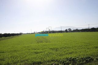 Αγροτεμάχια 7.419 τ.μ. για πώληση, Αργολίδα, Νέα Κίος-thumb-1