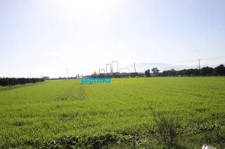 Αγροτεμάχια 7.419 τ.μ. για πώληση, Αργολίδα, Νέα Κίος-thumb-4