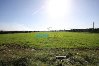Αγροτεμάχια 7.419 τ.μ. για πώληση, Αργολίδα, Νέα Κίος-thumb-8
