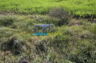 Αγροτεμάχια 7.419 τ.μ. για πώληση, Αργολίδα, Νέα Κίος-thumb-6