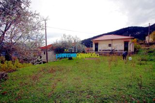 Μονοκατοικία 36 τ.μ. για πώληση, Αργολίδα, Αλέα-thumb-15