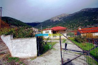 Μονοκατοικία 36 τ.μ. για πώληση, Αργολίδα, Αλέα-thumb-1