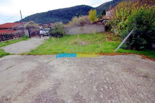 Μονοκατοικία 36 τ.μ. για πώληση, Αργολίδα, Αλέα-thumb-13