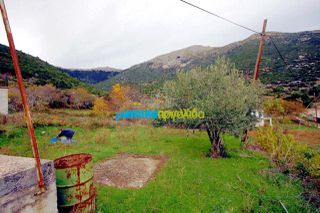 Μονοκατοικία 36 τ.μ. για πώληση, Αργολίδα, Αλέα-thumb-17