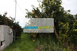Οικόπεδο 6.744 τ.μ. για πώληση, Αργολίδα, Άργος-thumb-4