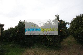 Οικόπεδο 6.744 τ.μ. για πώληση, Αργολίδα, Άργος-thumb-1