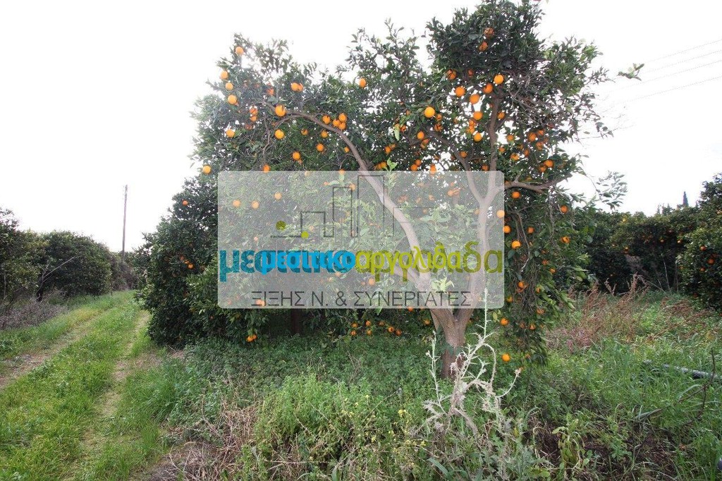 Οικόπεδο 6.744 τ.μ. προς πώληση, Άργος