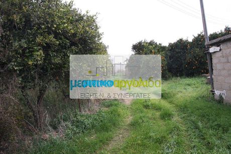 Land plot 10.000 sqm for sale