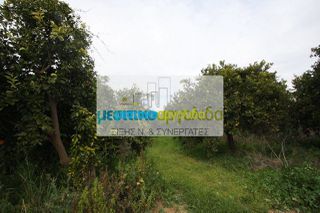 Οικόπεδο 6.744 τ.μ. για πώληση, Αργολίδα, Άργος-thumb-5