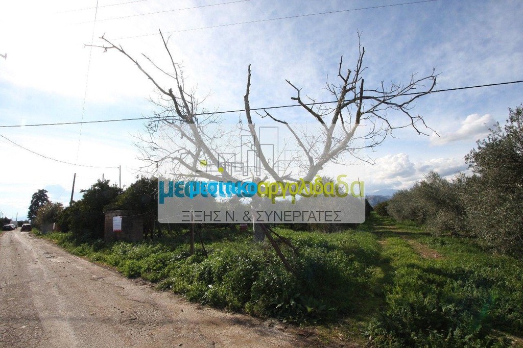 Αγροτεμάχια 6.250 τ.μ. προς πώληση, Κουρτάκι Άργους