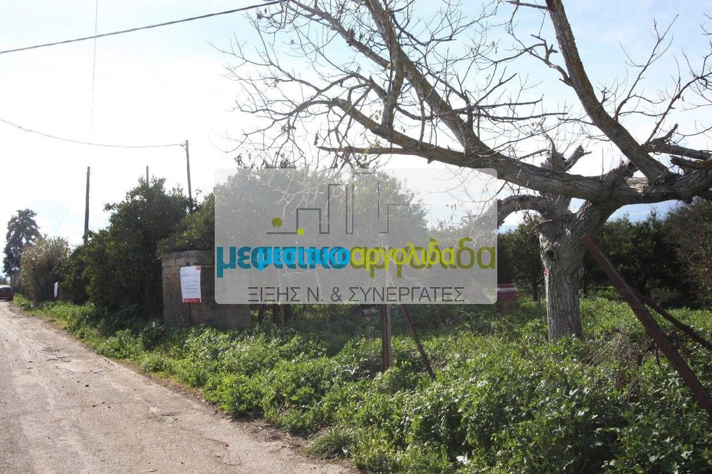 Αγροτεμάχια 6.250 τ.μ. προς πώληση, Κουρτάκι Άργους