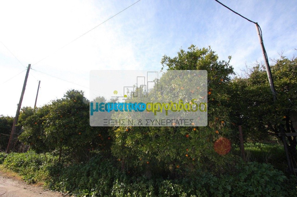 Αγροτεμάχια 6.250 τ.μ. προς πώληση, Κουρτάκι Άργους