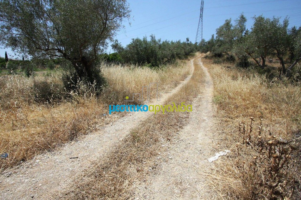 Οικόπεδο 4.416 τ.μ. προς πώληση, Κόκλα