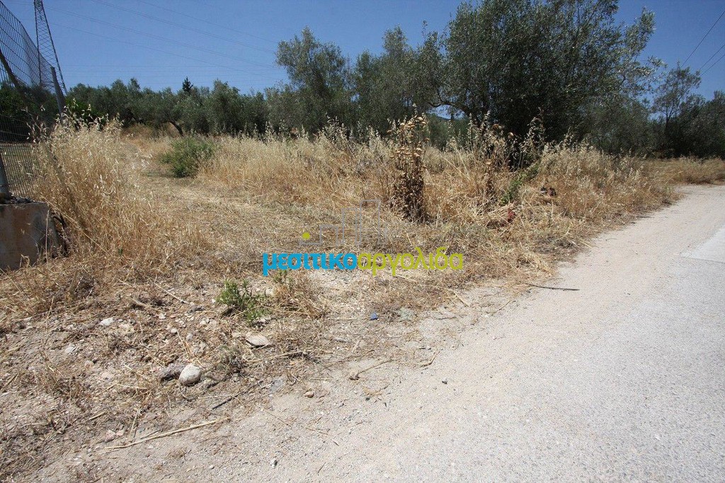Οικόπεδο 4.416 τ.μ. προς πώληση, Κόκλα