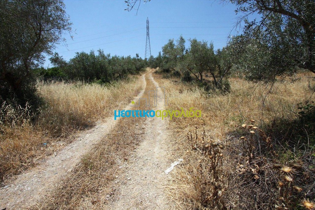 Οικόπεδο 4.416 τ.μ. προς πώληση, Κόκλα