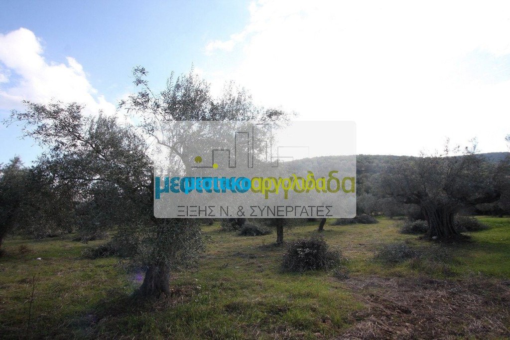 Αγροτεμάχια 8.989 τ.μ. προς πώληση, Στέρνα Λυρκείας