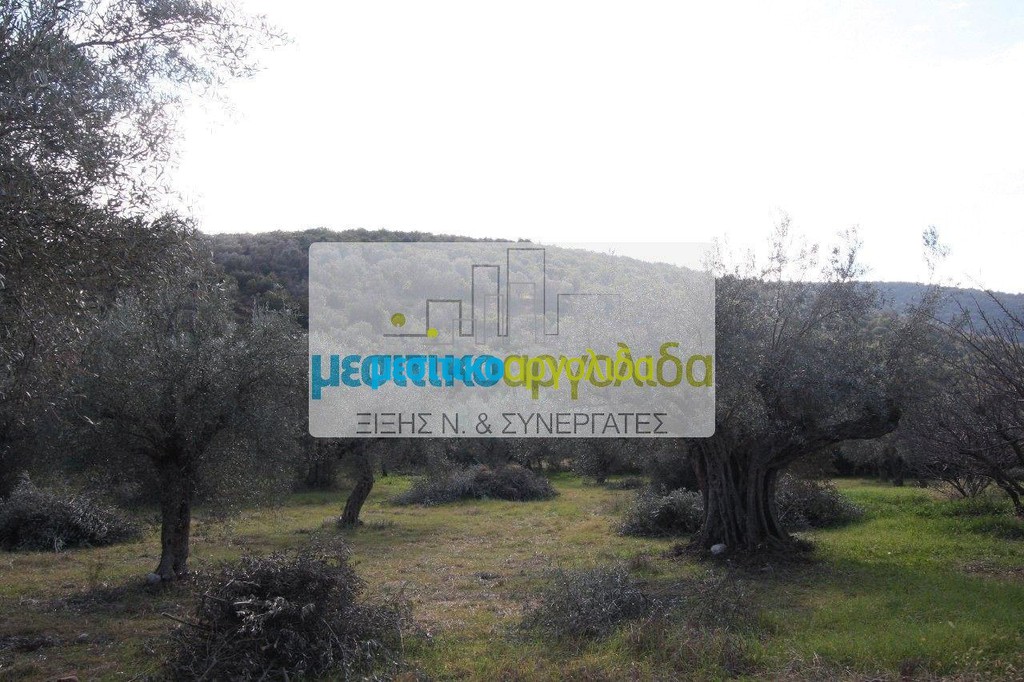 Αγροτεμάχια 8.989 τ.μ. προς πώληση, Στέρνα Λυρκείας