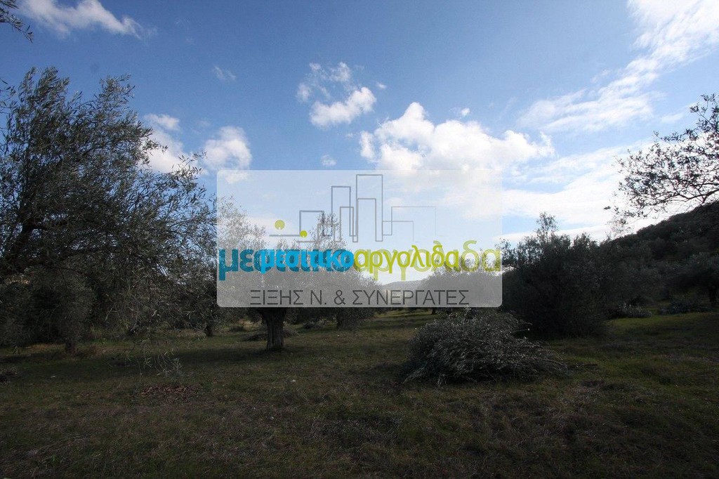 Αγροτεμάχια 8.989 τ.μ. προς πώληση, Στέρνα Λυρκείας