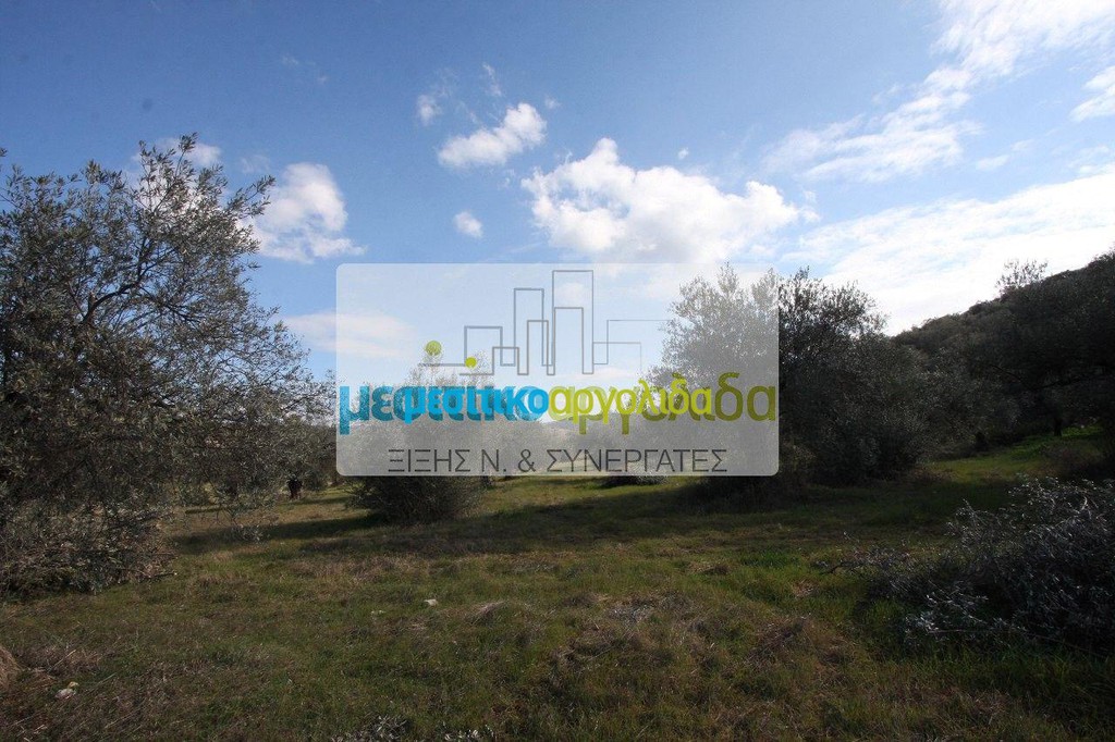 Αγροτεμάχια 8.989 τ.μ. προς πώληση, Στέρνα Λυρκείας