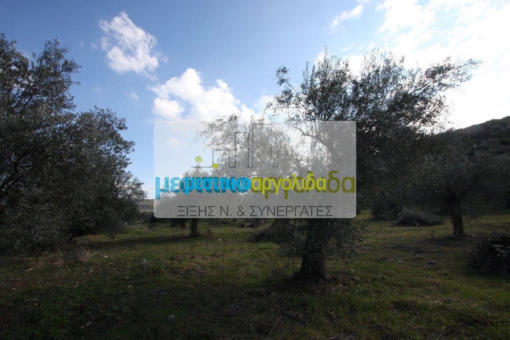 Αγροτεμάχια 8.989 τ.μ. προς πώληση, Στέρνα Λυρκείας